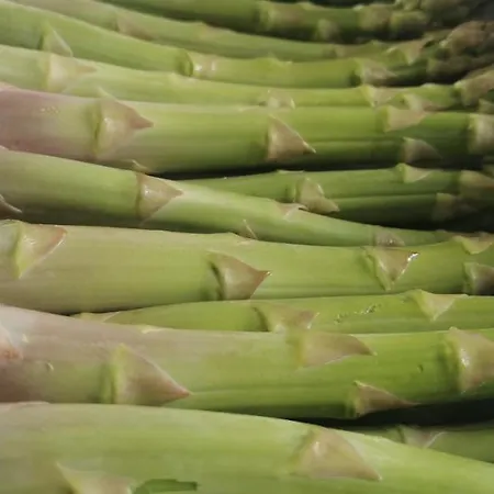 La Maison Fleur De Frangipanier Frühstückspension Saint-Genix-sur-Guiers